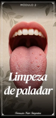 Módulo Limpeza de paladar